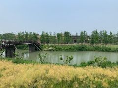 -乌村