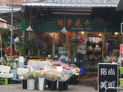 -曲阳花鸟市场(曲阳路店)