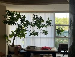 点击看大图 -阿南达·瑜伽普拉提·阿育吠陀疗愈中心