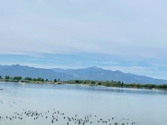 -野鸭湖国家湿地公园