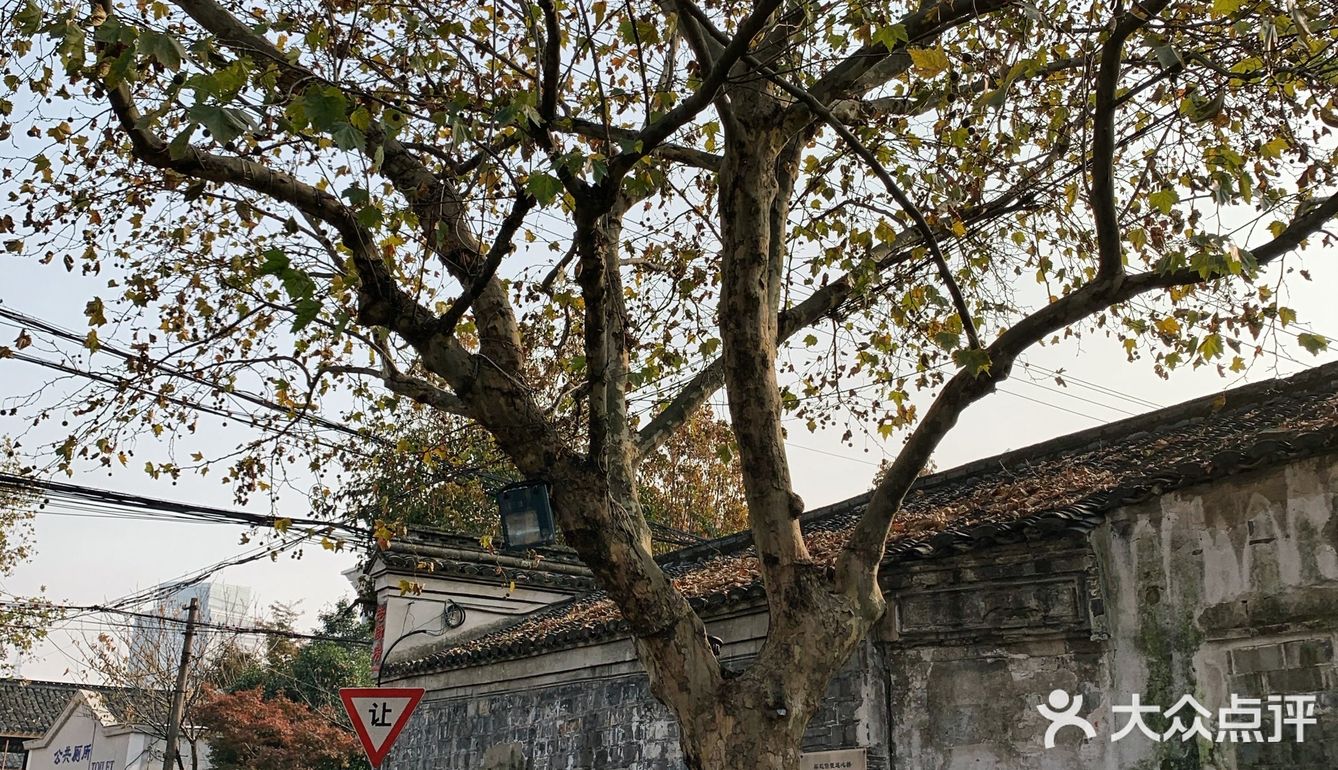 孝闻街  🍂