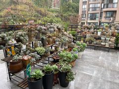 景观位-兰婆婆餐厅淳安菜