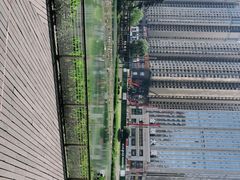 -花果园湿地公园