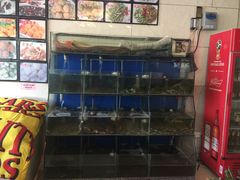 水产区-天天渔港海鲜酒家(石浦玉泉路店)