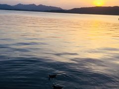 -西湖外事游船(湖滨二公园外事游船码头)