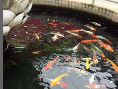 -宝莲禅寺