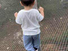 -芦仙山景区-飞越丛林探险乐园