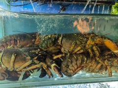 -桔子海鲜烧烤大排档(台东店)