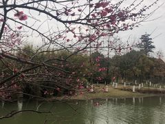 -白塘生态植物园