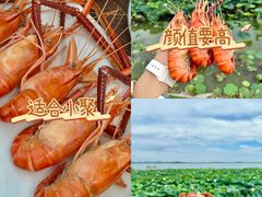 -七的湖·晚芳亭·阳澄湖农家菜·大闸蟹(莲花岛店)