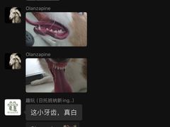 -趣玩宠物乐园寄养训犬训狗游泳池