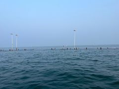 -日照世帆赛基地
