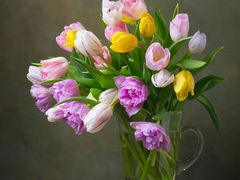 -茶颜悦色(登高路上店)