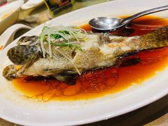 -彩丰楼·中餐厅(国家会展中心上海洲际店)