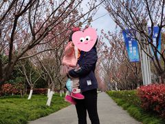 -高东镇樱花园