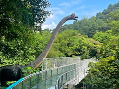 -南丹山森林王国