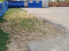 -坝河休闲公园