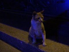 -衣裳街历史文化街区