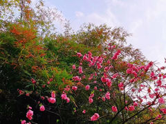 -塔子山公园