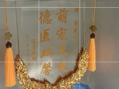 -特一安24小时宠物医院·骨科·中兽医