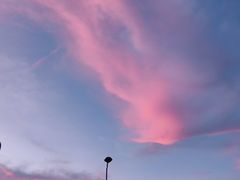 -天鹅湖体育公园