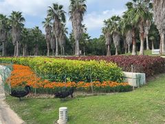 -厦门国家会计学院