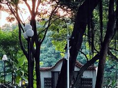 -东山湖公园
