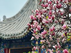 -西安市广仁寺