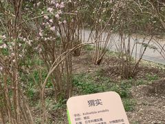 -老君堂公园