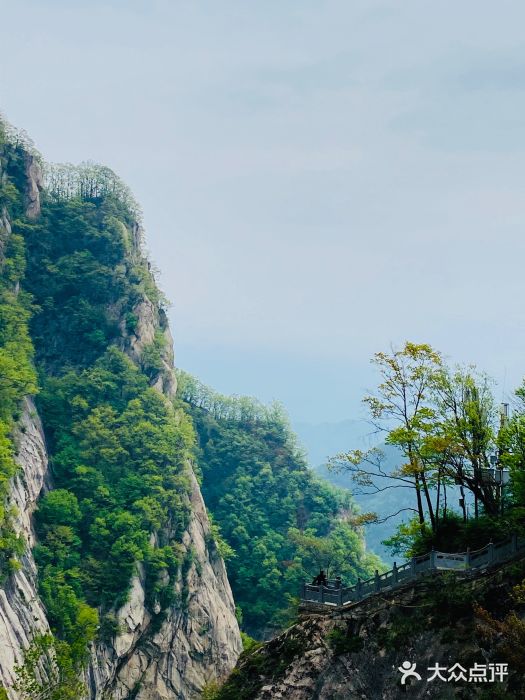 洛阳白云山景区图片