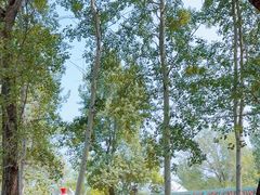 -南戴河国际娱乐中心