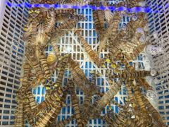 -五缘湾悦都汇购物中心