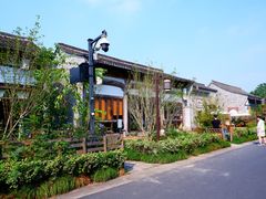-西溪国家湿地公园