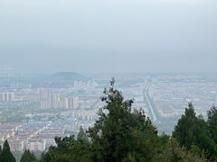 -府君山公园