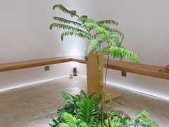 -光作面包Voila Lumiere(中山店)