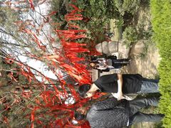 -西安青龙寺遗址景区