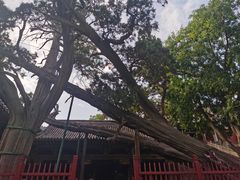 -晋祠公园