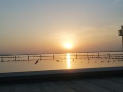 -苏州湾体育公园