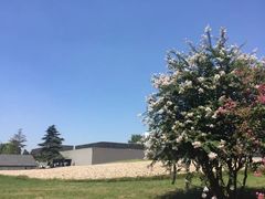 -侵华日军南京大屠杀遇难同胞纪念馆