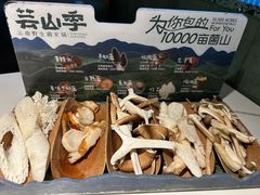 -芸山季·云南山珍菌火锅(南翔印象城MEGA店)