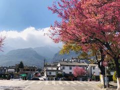 -大理古城