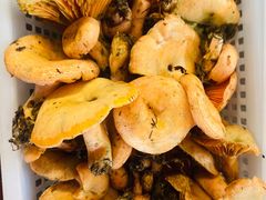 -三锅莊·牦牛肉火锅·香格里拉特色藏餐宴请餐厅(菱角塘路店)
