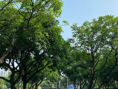 -文华公园(禅城区)