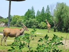 -宁波野生动物园