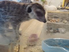 -平行世界·猫咖(首经贸店)