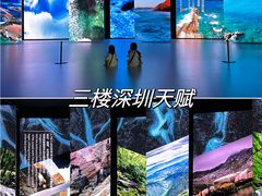 -深圳市当代艺术与城市规划馆
