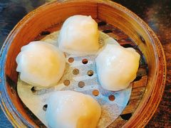 -添运来(茶园奥园广场店)