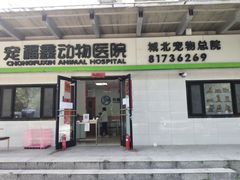 -宠福鑫动物医院(城北分院)