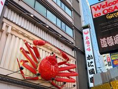 -蟹道乐(道顿堀本店)