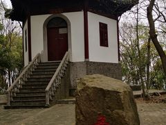 -上海佘山国家森林公园天马山园